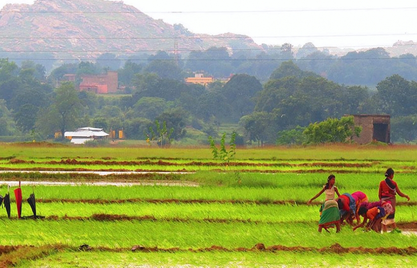 Tribal Communities Protest Changes In Jharkhand Land Laws 