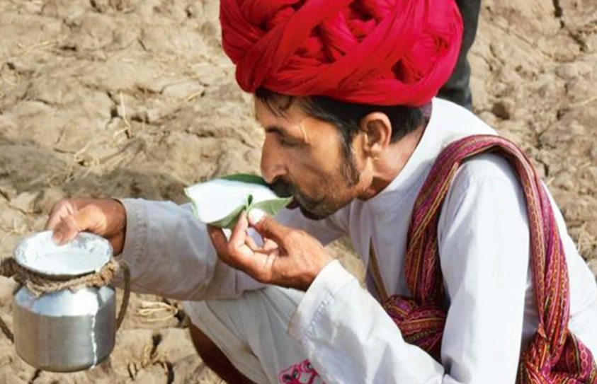  Raising A Glass To Camel Milk 