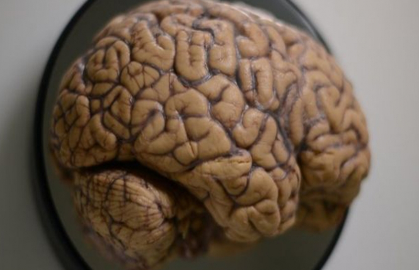 Rules Of Memory 'Beautifully' Written