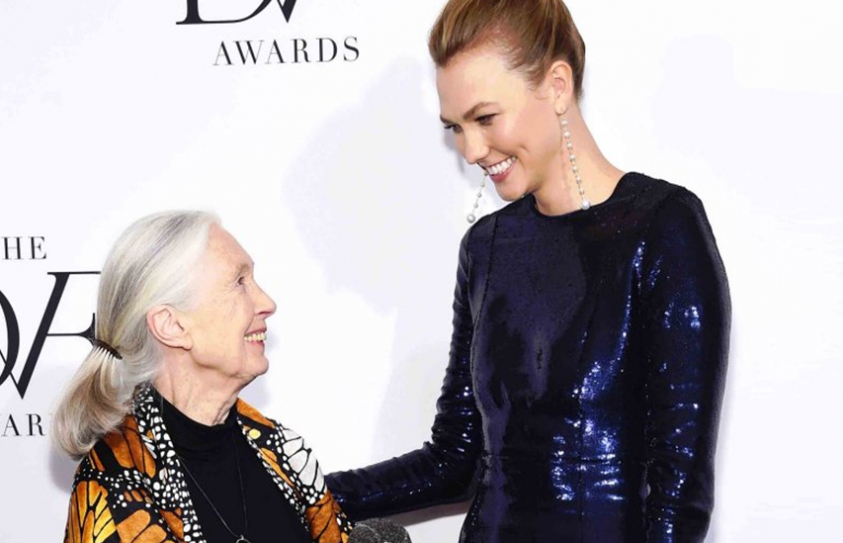  The Night Karlie Kloss Met Jane Goodall 
