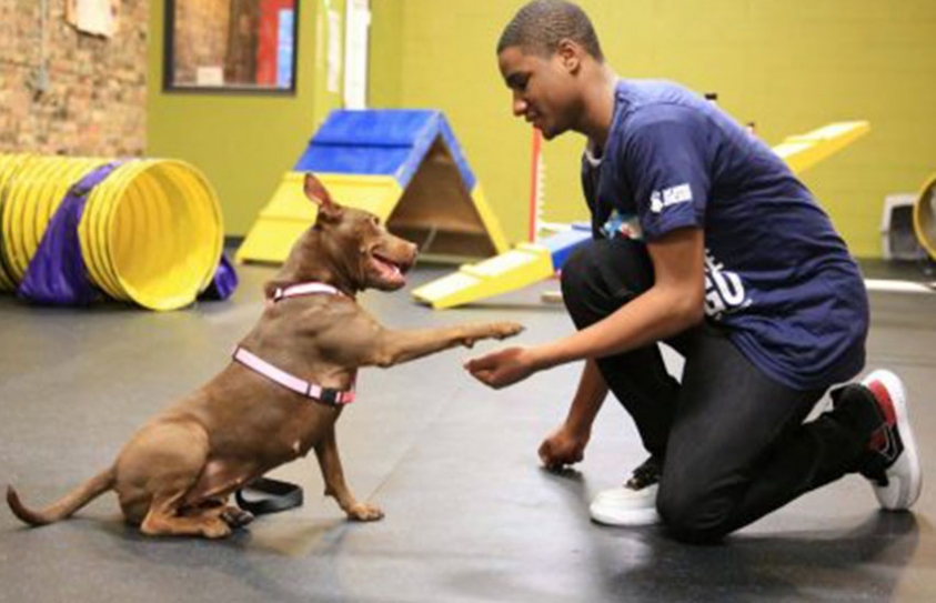  Stars Unite On Earth Day For Annual Farm Animal Protection Benefit 