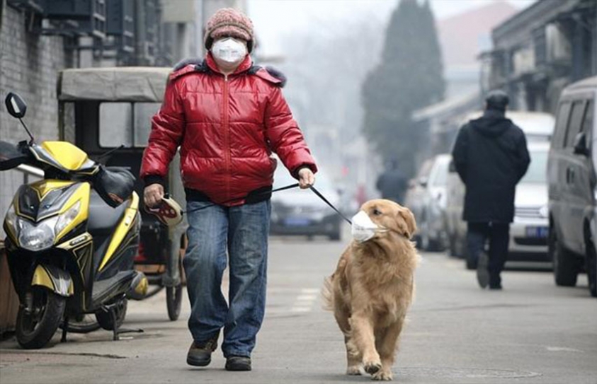 Cancer Risk Tied To Pollution In Environment 