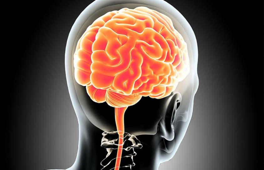  New Computers Can Delete Thoughts Without Your Knowledge, Experts Warn 