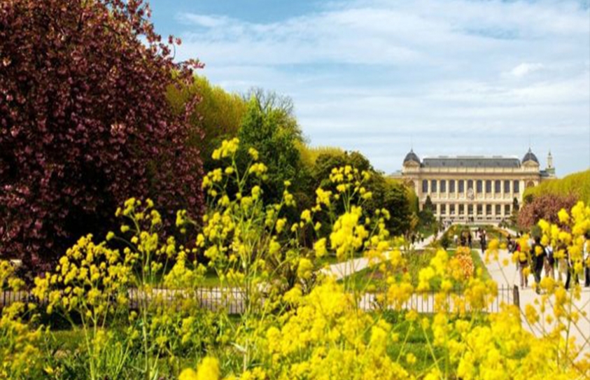 Rare Flowers Destroyed In Australia After Paperwork Error 