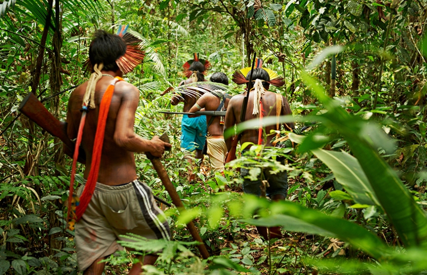 Environmentalism Used To Be About Defending The Wild, Not Anymore 