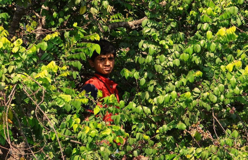   Why The Fight For Environment Justice Is Also A Fight For Social Justice 