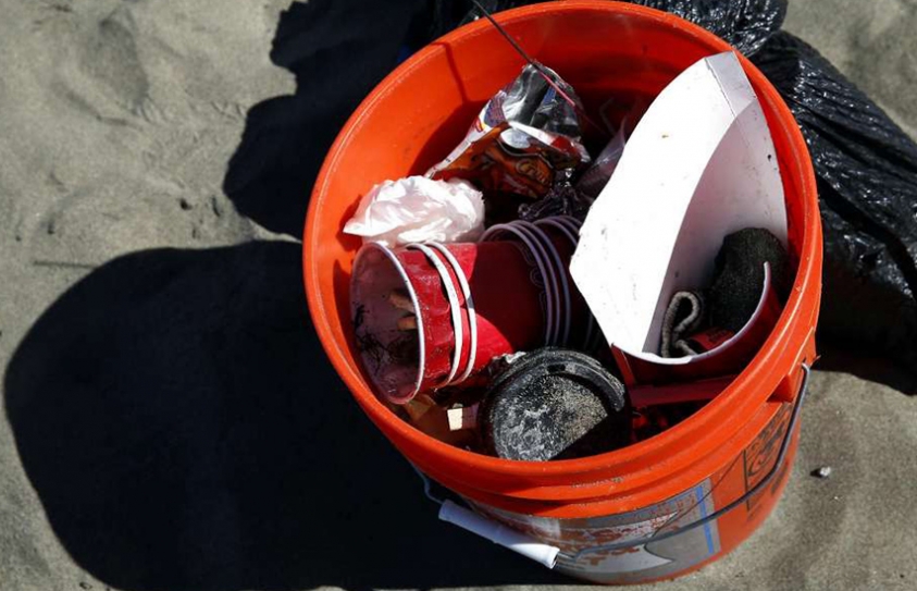   California Models How To Clean Up, Reduce, Recycle Plastic Waste 