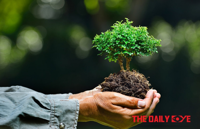 Are Non-vegetarians destroying the Planet?