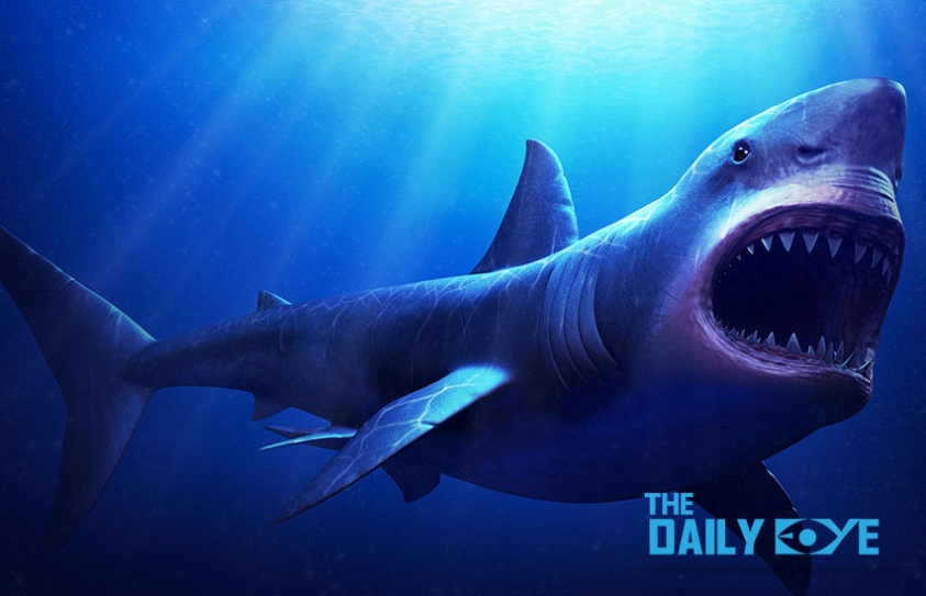 The Case of a Prehistoric Shark Tooth gone Missing