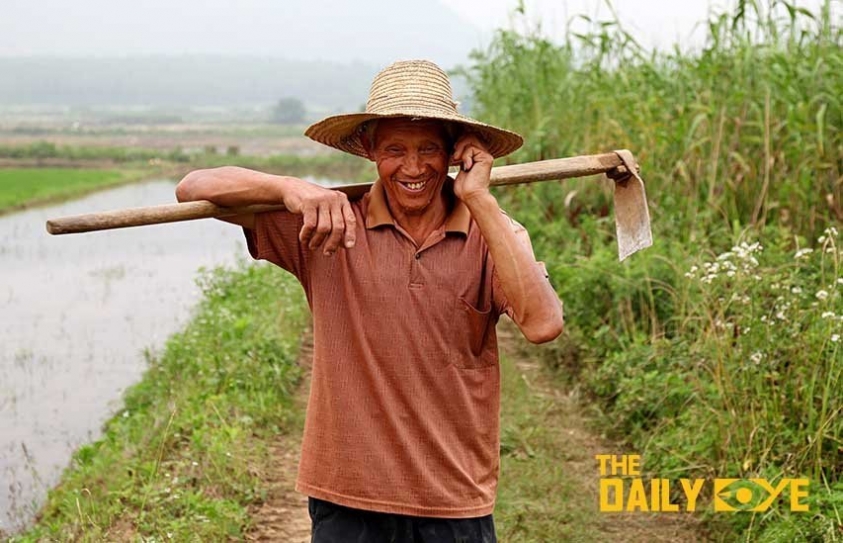 A Chinese Farming Project offers a Sustainable Future