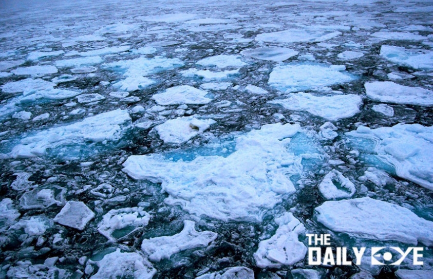 Microplastics Take Over the Arctic
