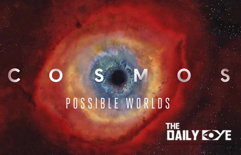 Netflix’s Documentaries are Food for the Brain