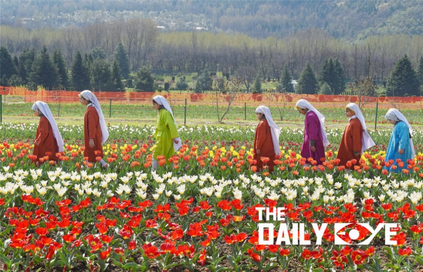Flower Festivals in India You wouldn't want to Miss