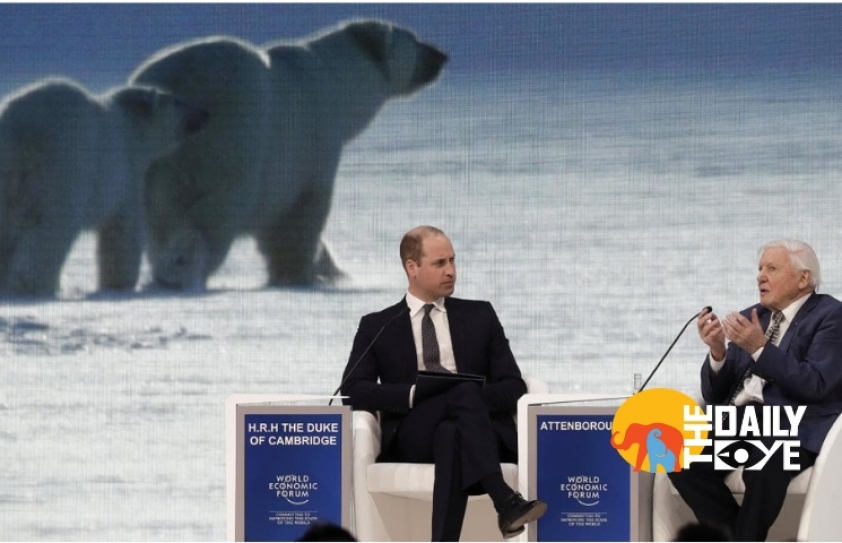 Davos 2019: Sir Attenborough and Prince William question World Leaders on the Environmental Crisis