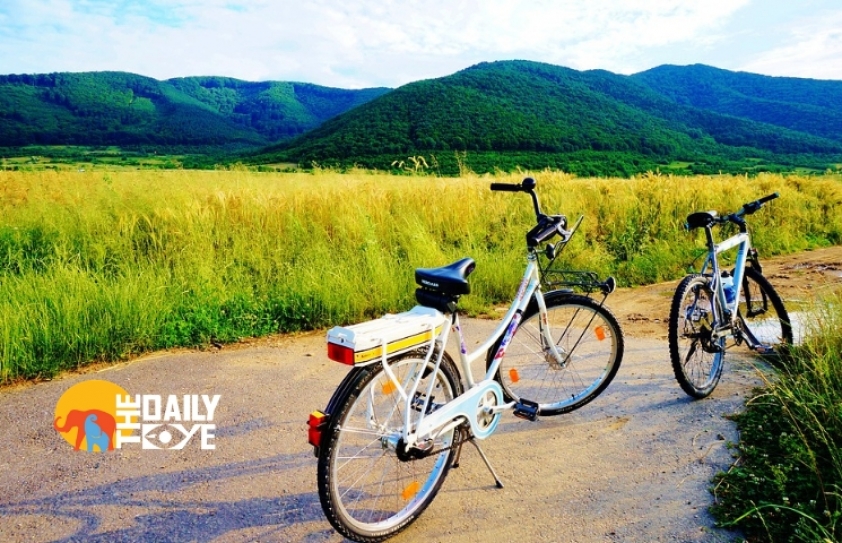 Be a responsible and green traveller