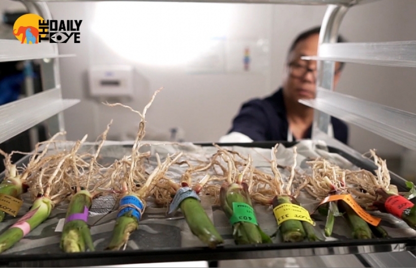 How do we fight climate change caused by agriculture?
