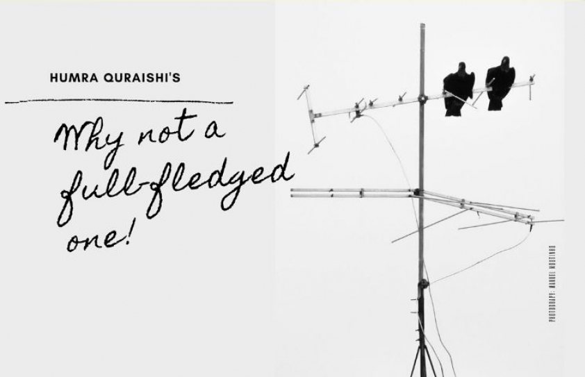 Why not a full-fledged one! 