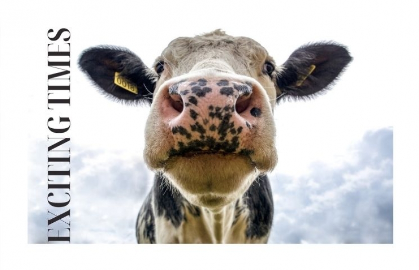 Farm Bills: Exciting times for advertising