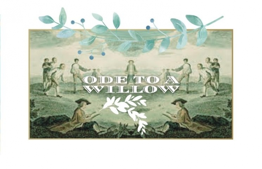 An Ode to the Willow
